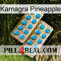 Kamagra Pineapple new08